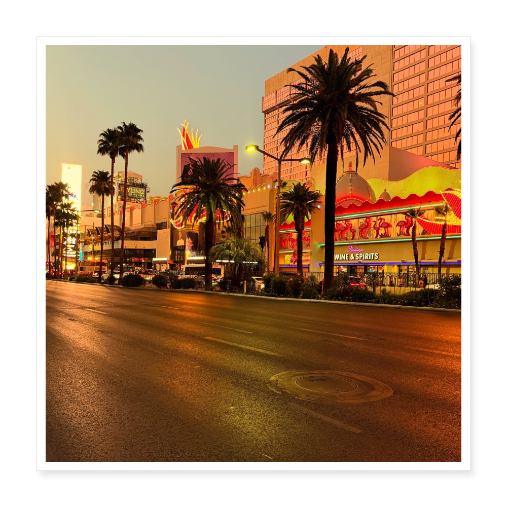 Poster 40x40 cm - Weiß