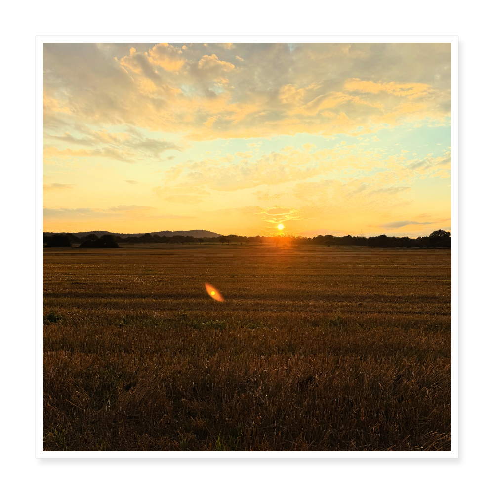 Poster 40x40 cm - Weiß