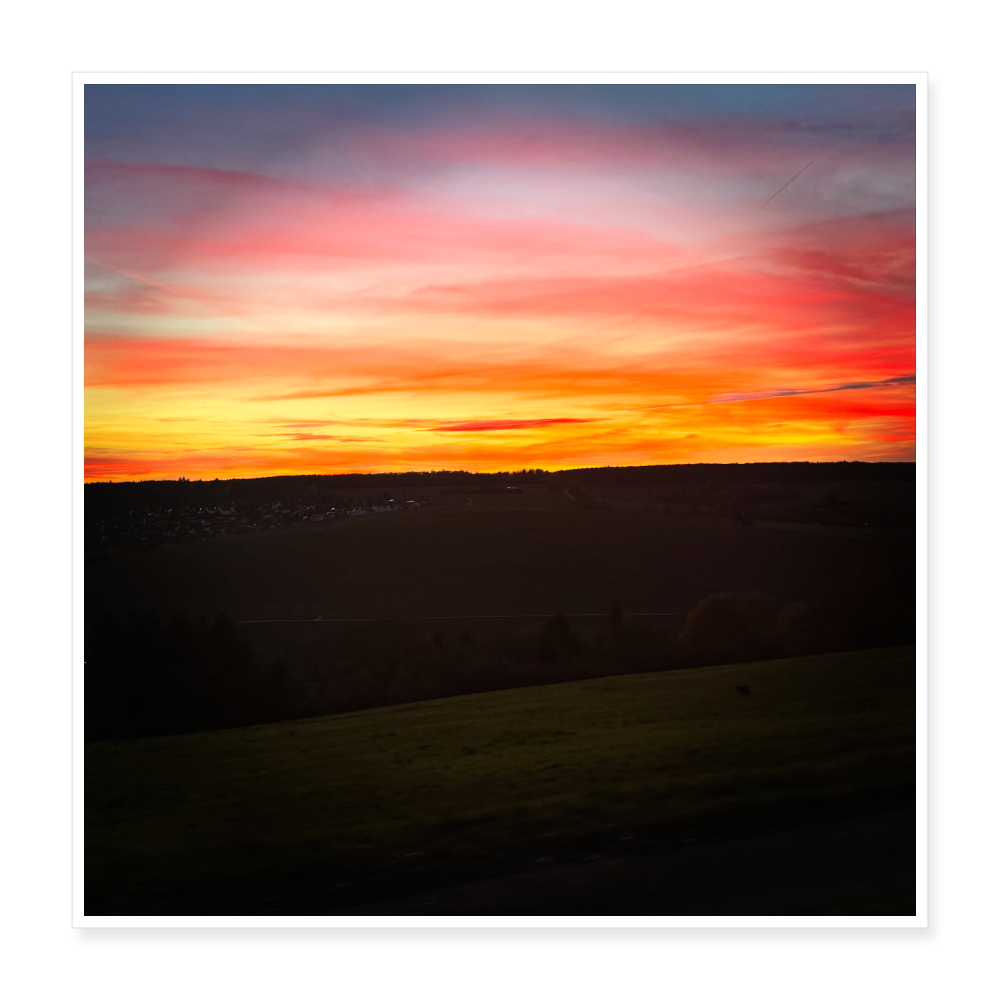 Poster 40x40 cm - Weiß