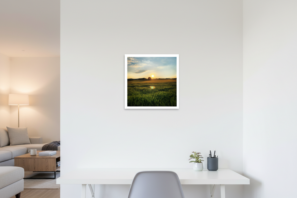 Poster 16" x 16" (40x40 cm) - Weiß