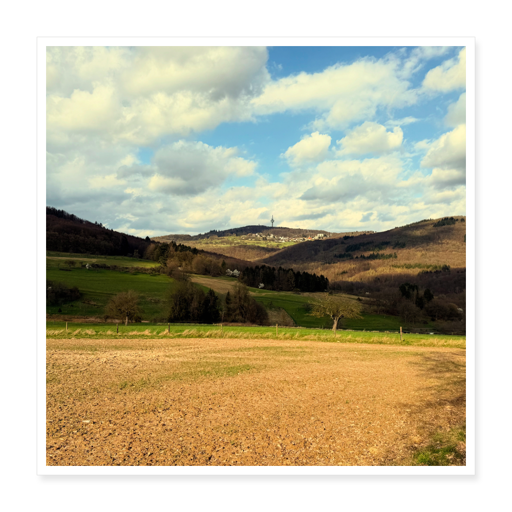 Poster 40x40 cm - Weiß