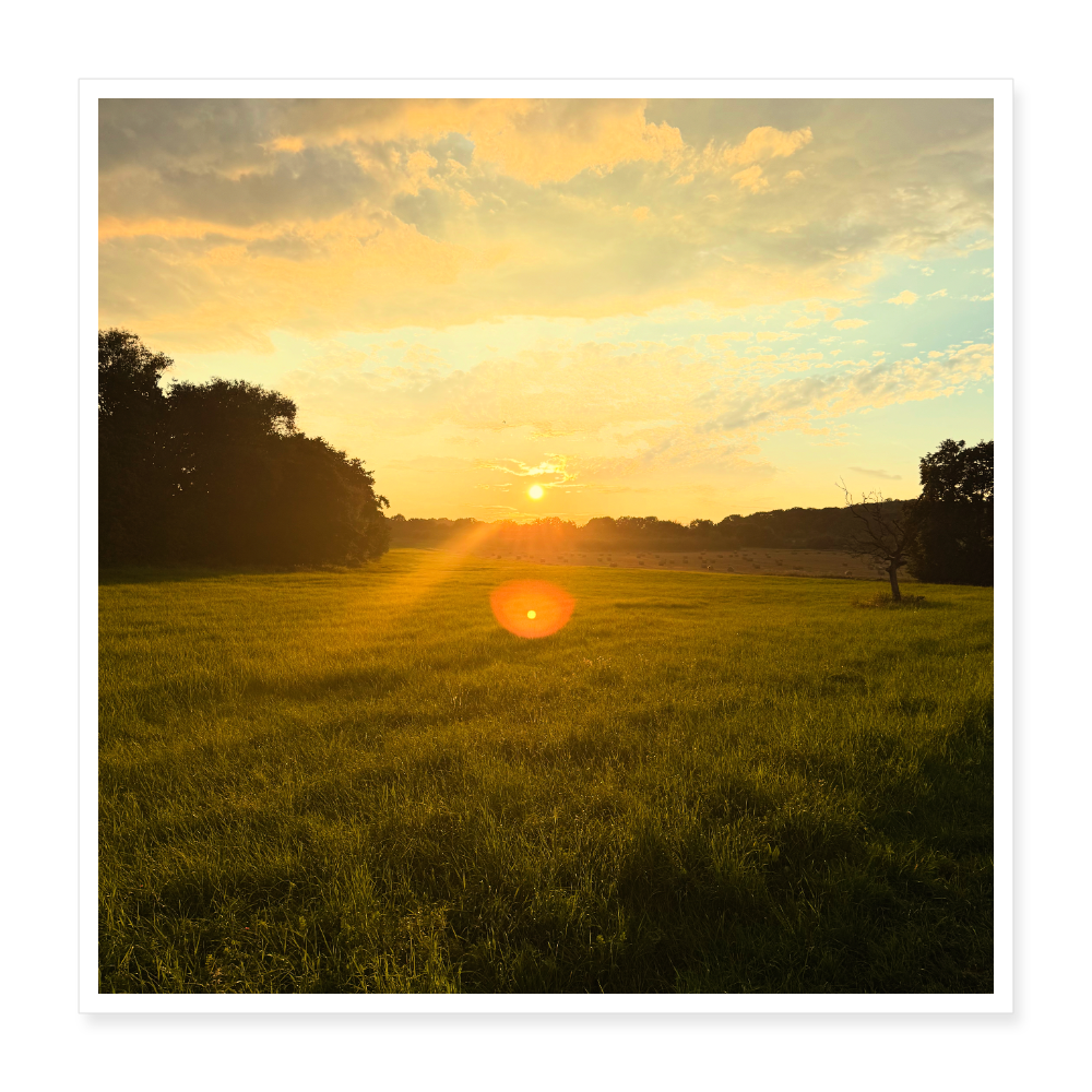 Poster 16" x 16" (40x40 cm) - Weiß